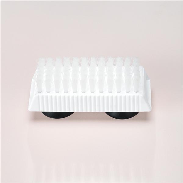 Dentures brush with suction cups. Product Code aa1881